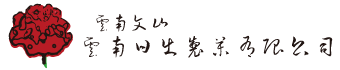 雲南日出製薬有限公司